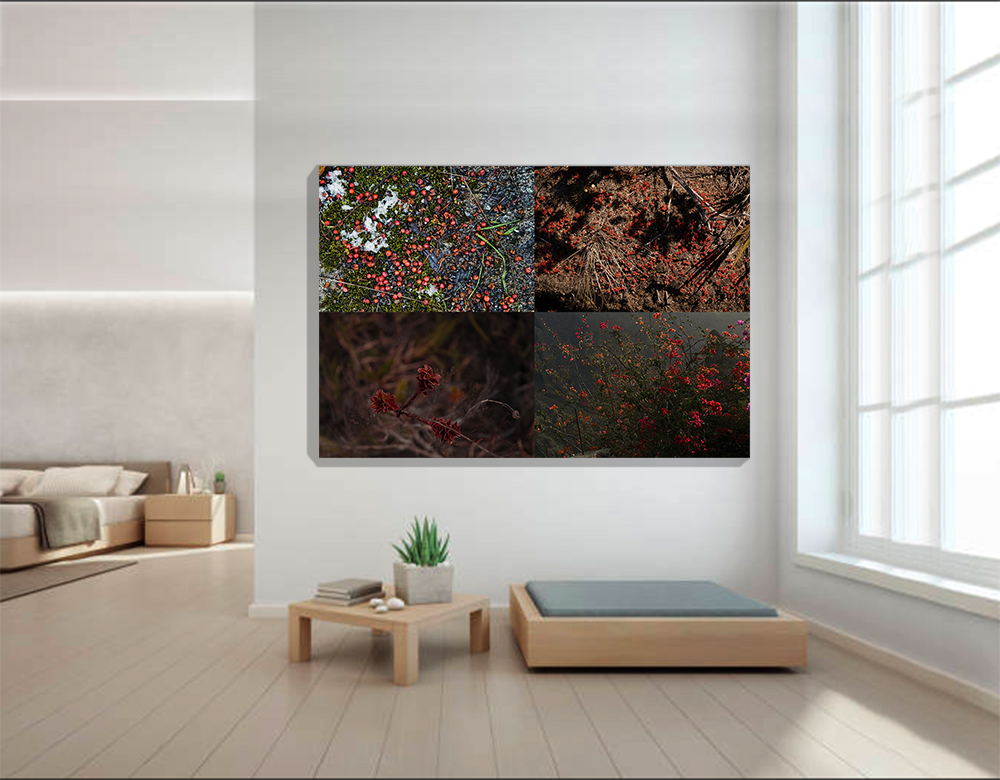 Colores del Mundo-Rojos 2