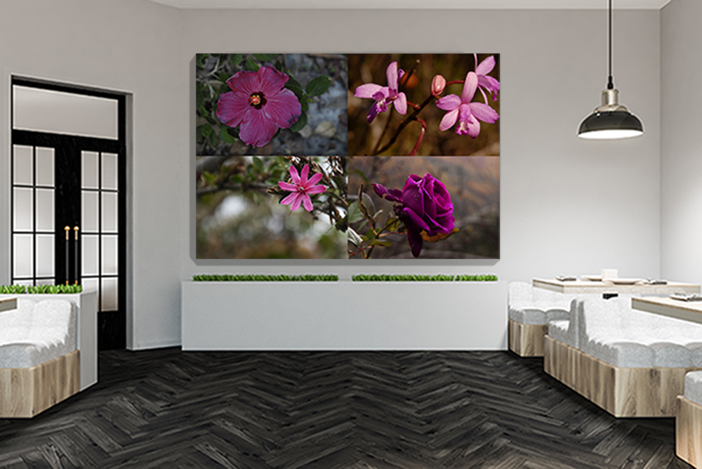 Colores del Mundo-Rosas 3
