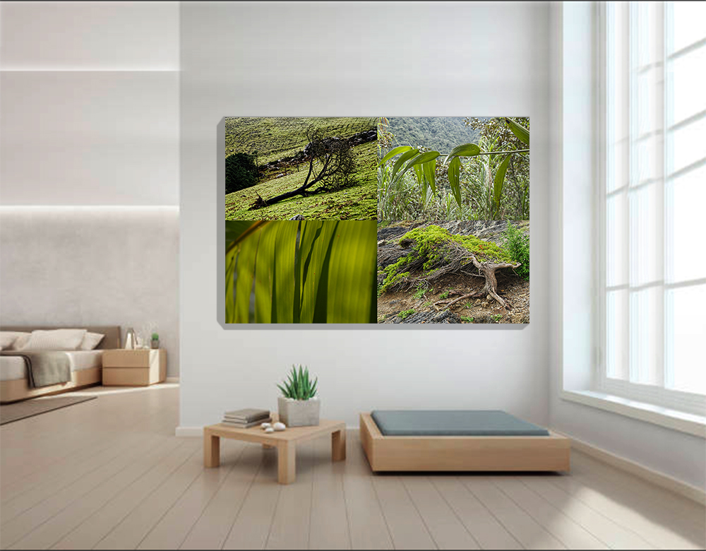Colores del Mundo-Verdes 2