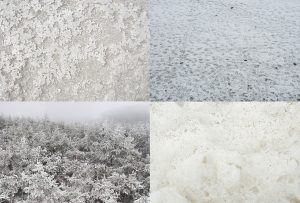 Montaje de cuatro Fotografías, creaciones, blanco, naturaleza, horizontal