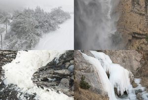 Montaje de cuatro Fotografías, creaciones, blanco, naturaleza, horizontal