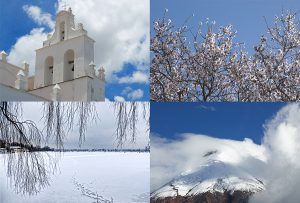 Montaje de cuatro Fotografías, creaciones, blanco, naturaleza, horizontal
