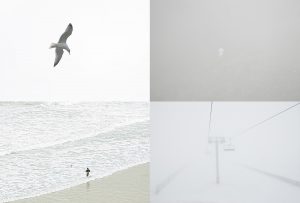 Montaje de cuatro Fotografías, creaciones, blanco, naturaleza, horizontal