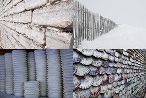Montaje de cuatro Fotografías, creaciones, blanco, naturaleza, horizontal